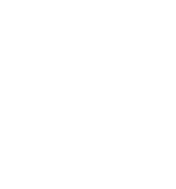 Shakedown Park