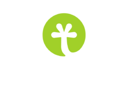 Trimedia